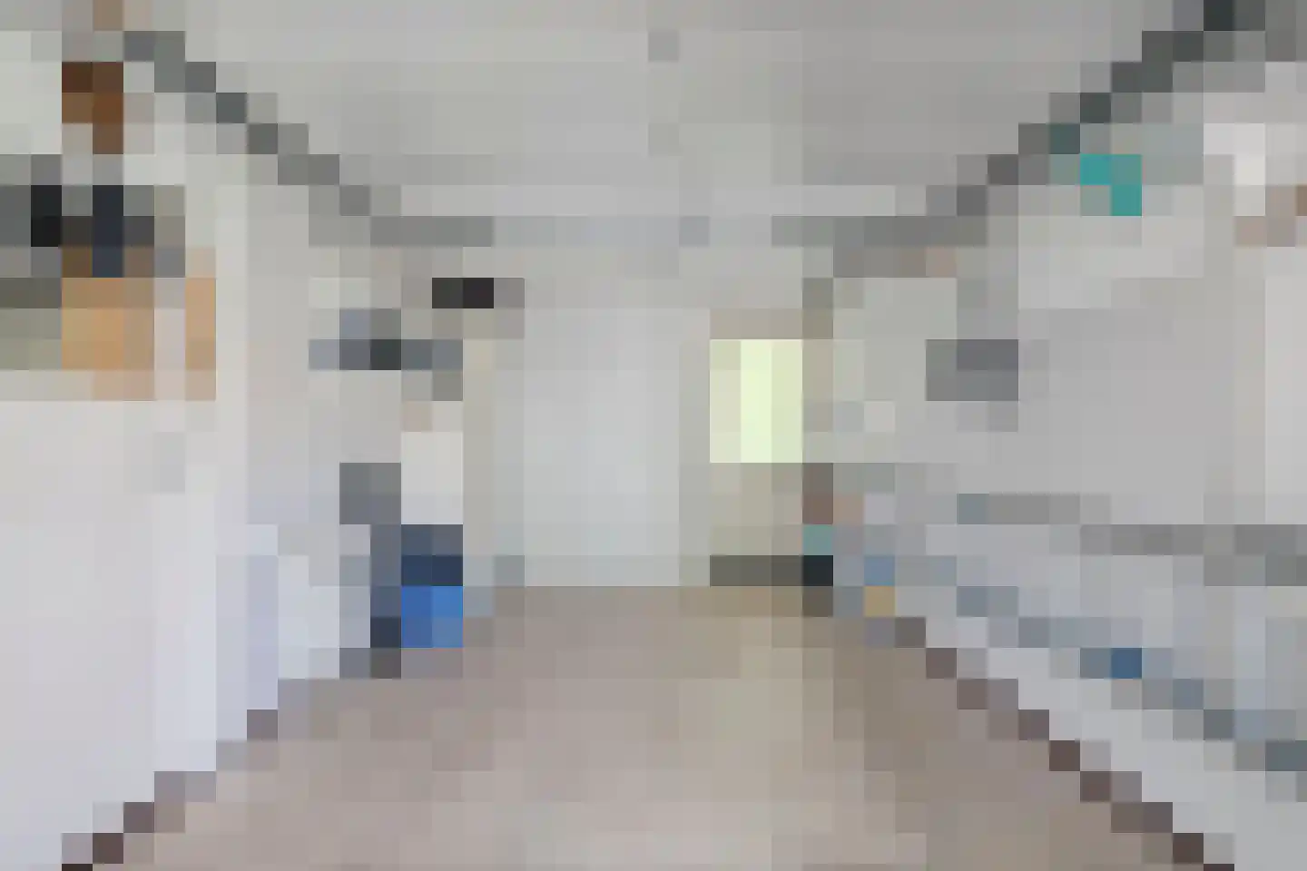 Bijenkorf 60 Eerbeek thumbnail 20