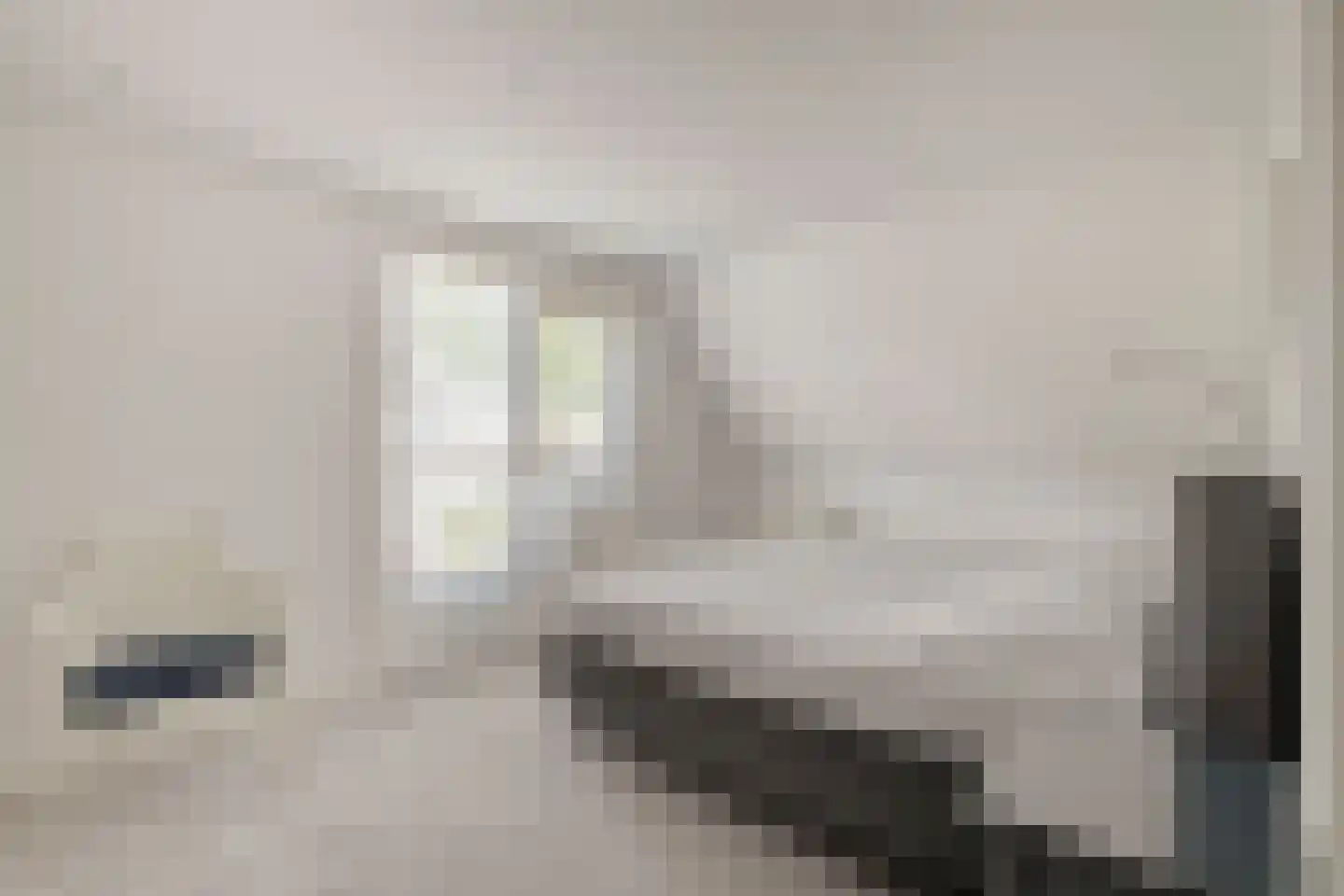 Bijenkorf 60 Eerbeek thumbnail 24