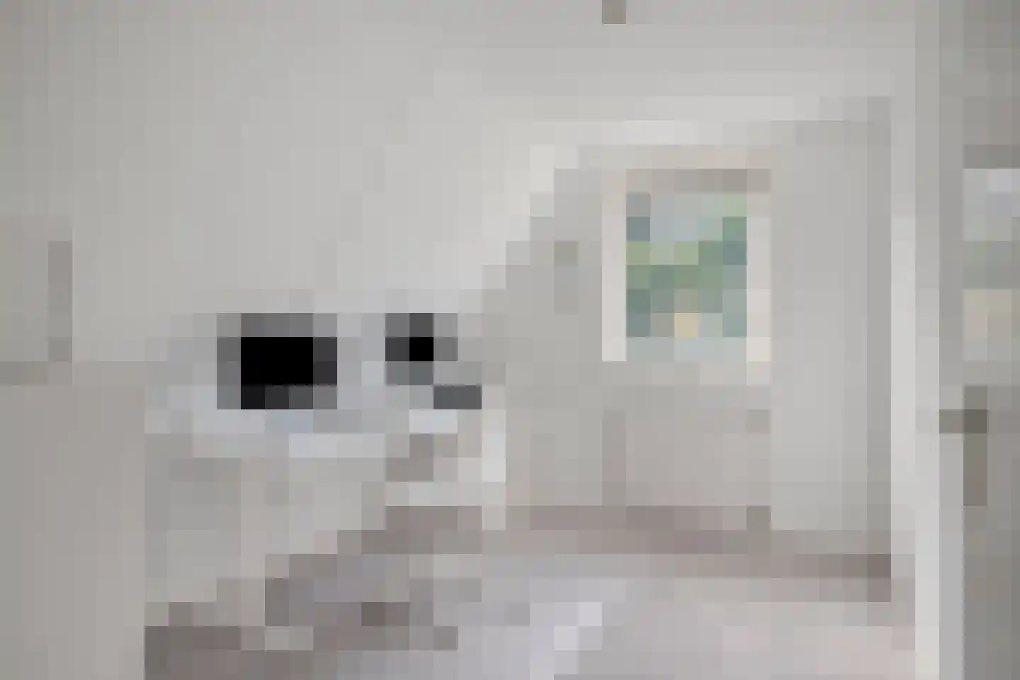 Bijenkorf 60 Eerbeek thumbnail 32