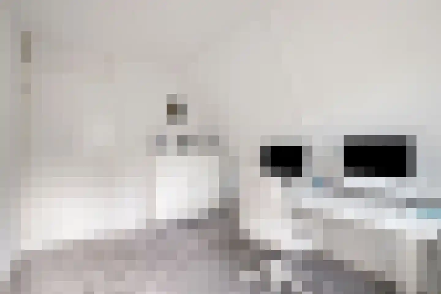 Bijenkorf 60 Eerbeek thumbnail 33