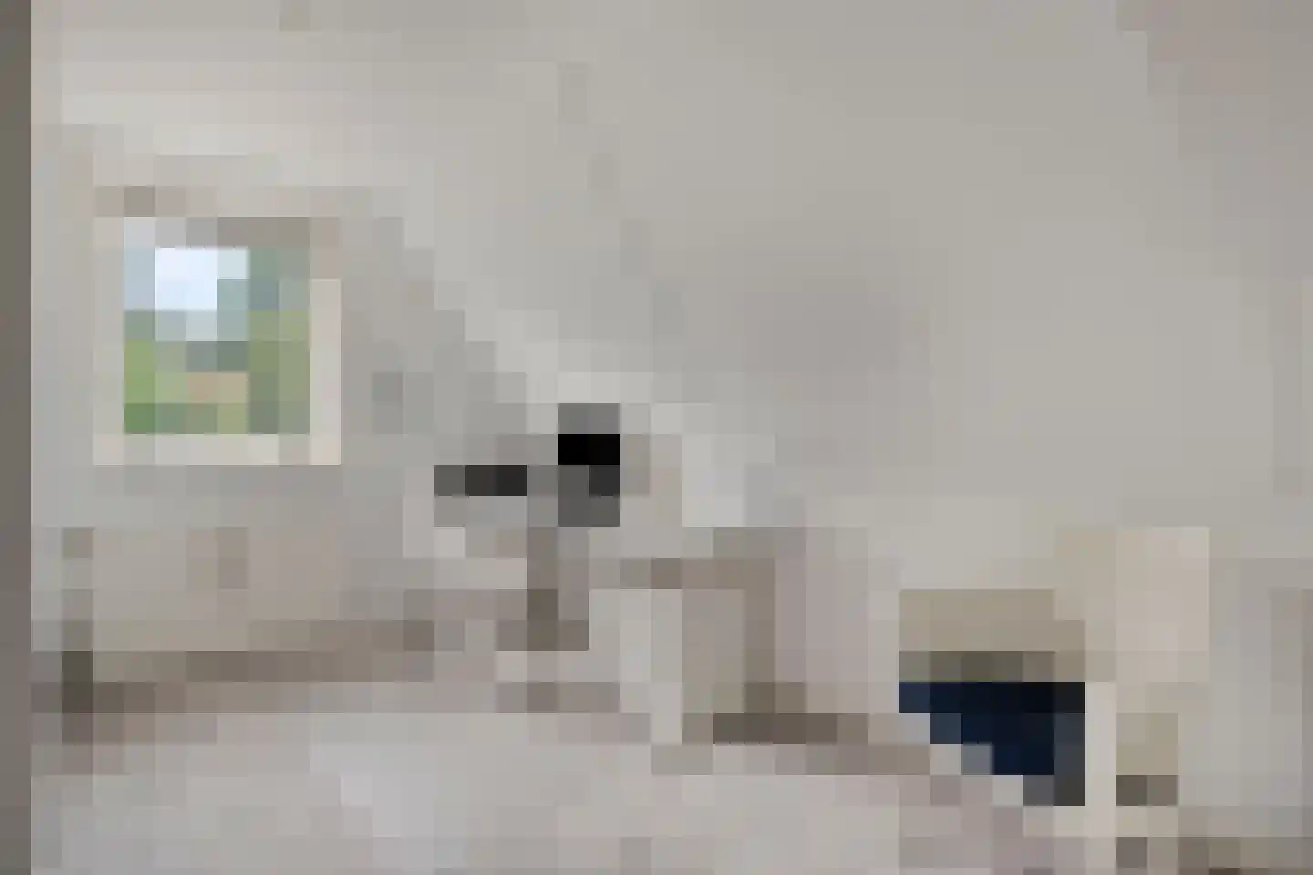 Bijenkorf 60 Eerbeek thumbnail 34
