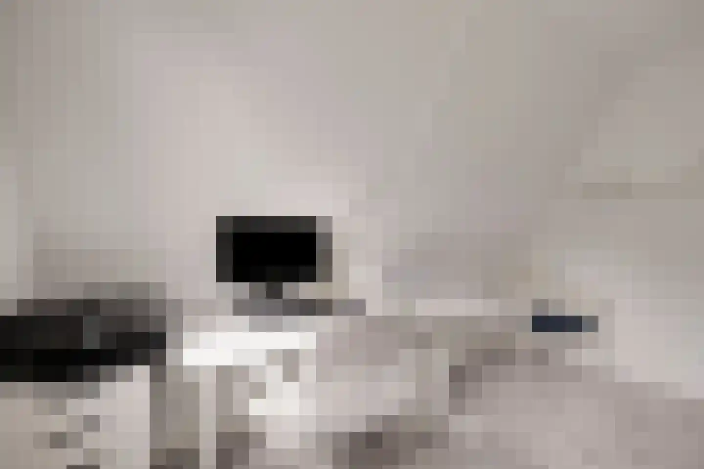 Bijenkorf 60 Eerbeek thumbnail 35