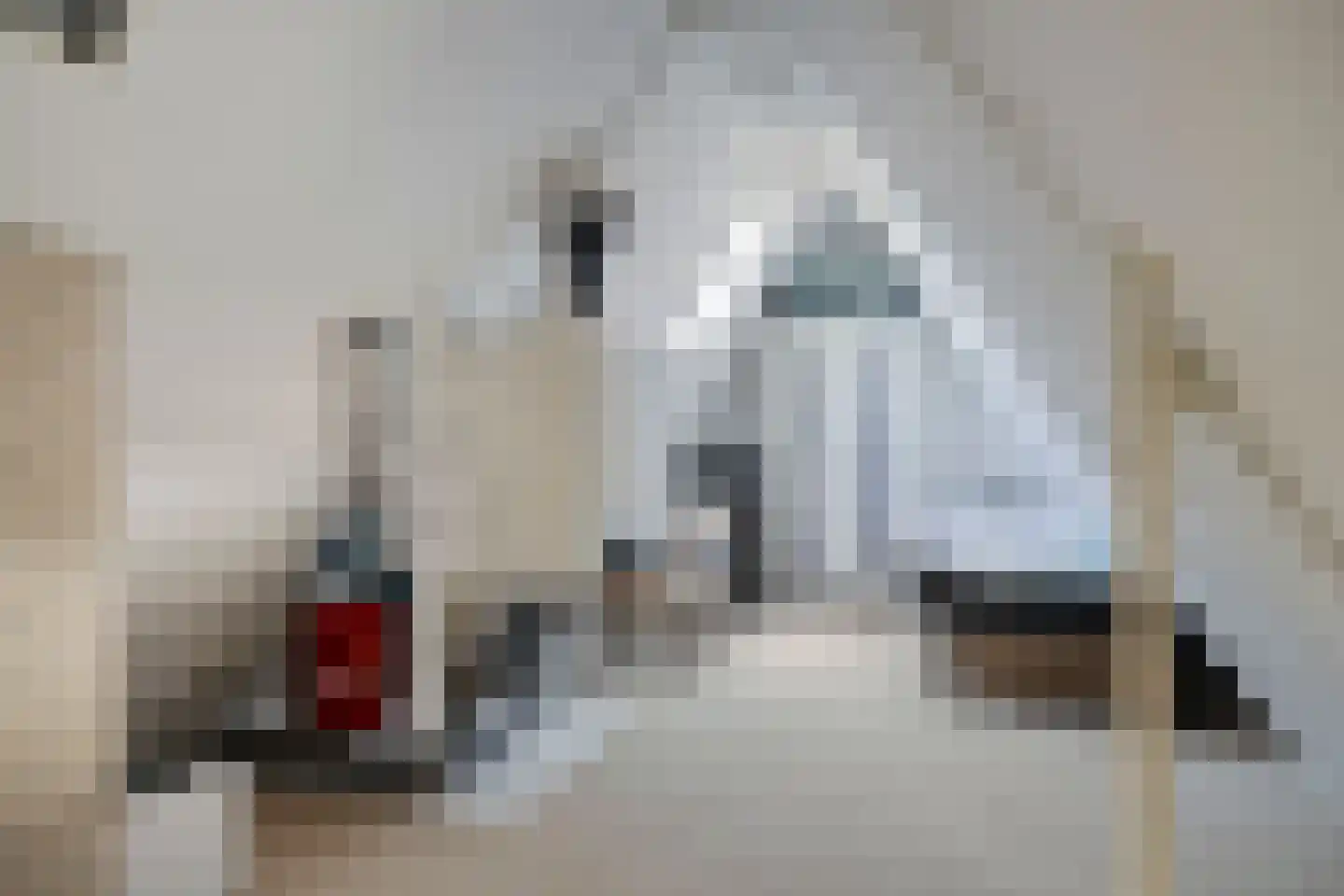 Bijenkorf 60 Eerbeek thumbnail 36