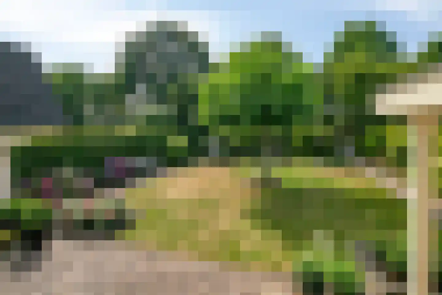 Bijenkorf 60 Eerbeek thumbnail 39