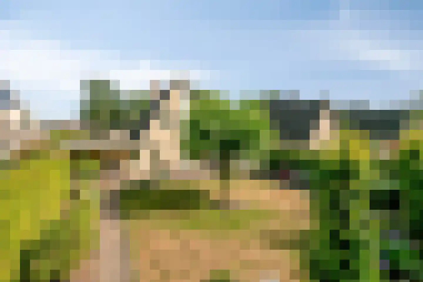 Bijenkorf 60 Eerbeek thumbnail 4