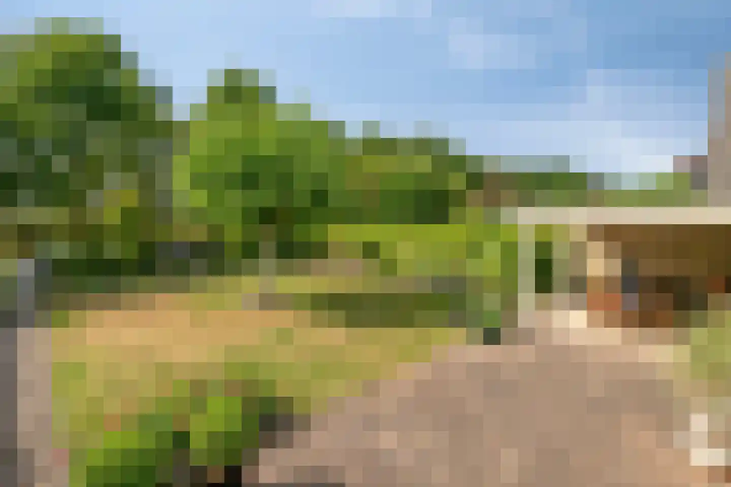 Bijenkorf 60 Eerbeek thumbnail 40