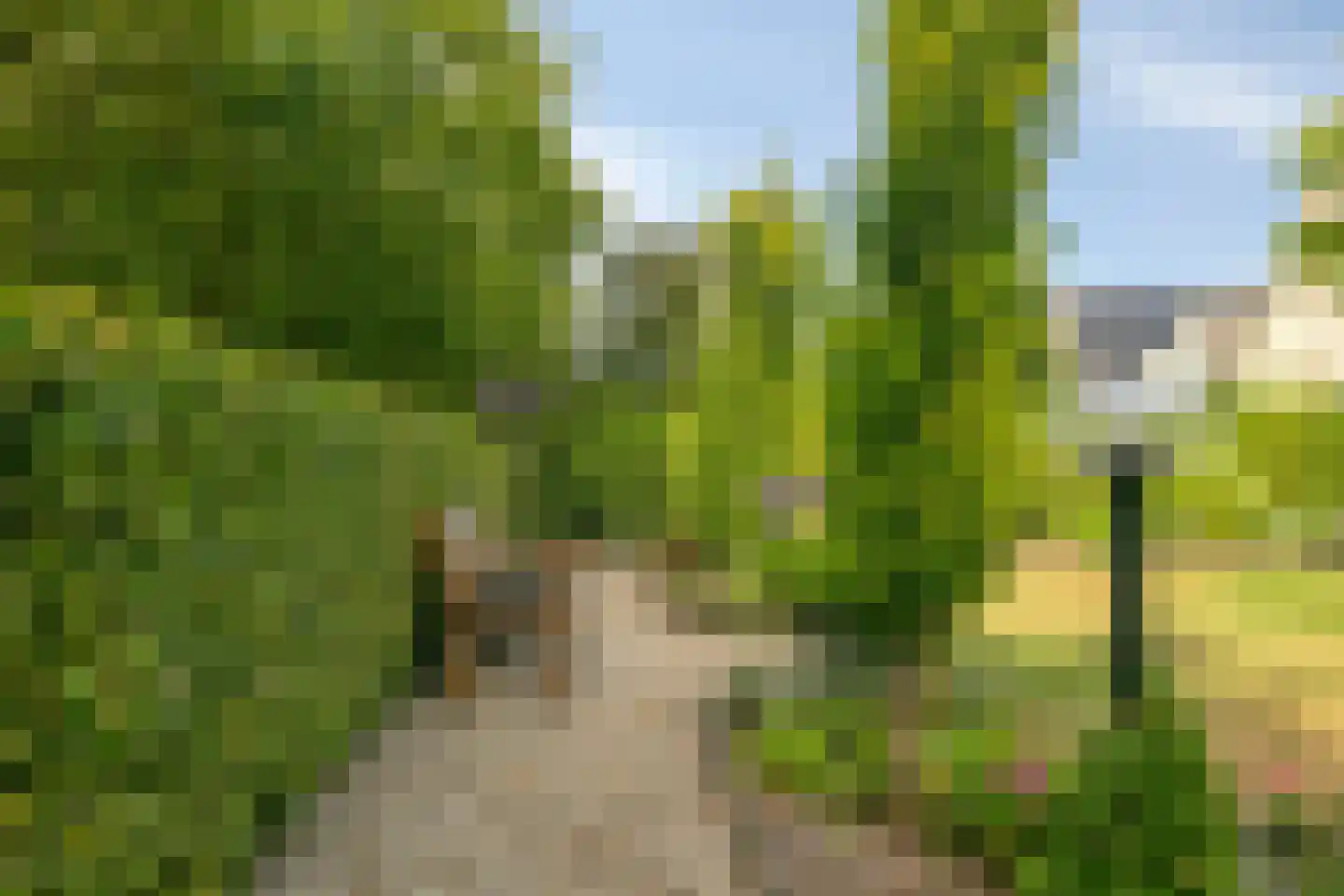 Bijenkorf 60 Eerbeek thumbnail 41