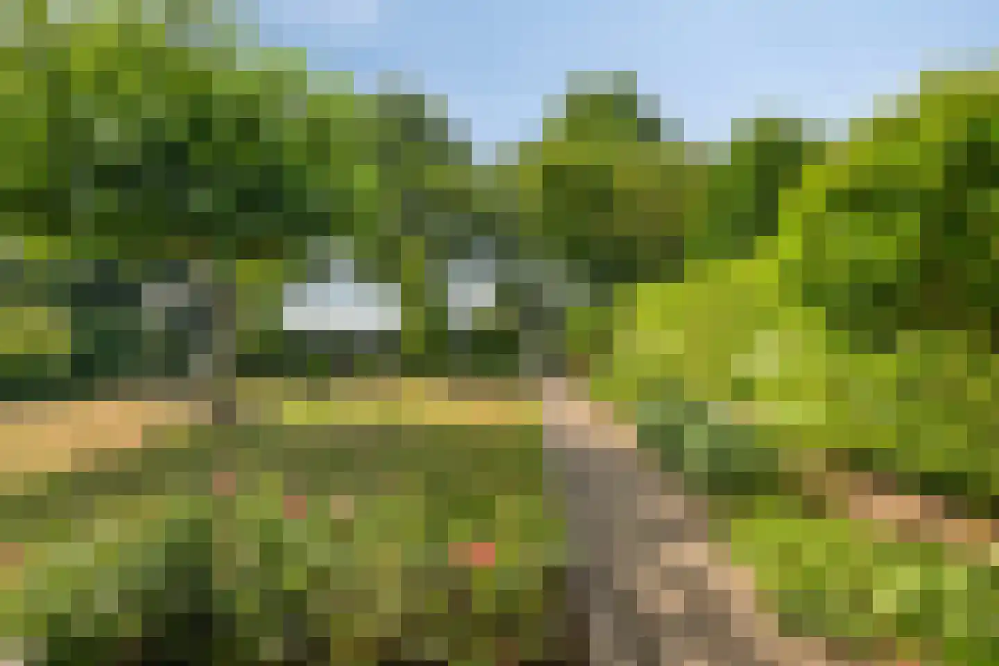 Bijenkorf 60 Eerbeek thumbnail 42