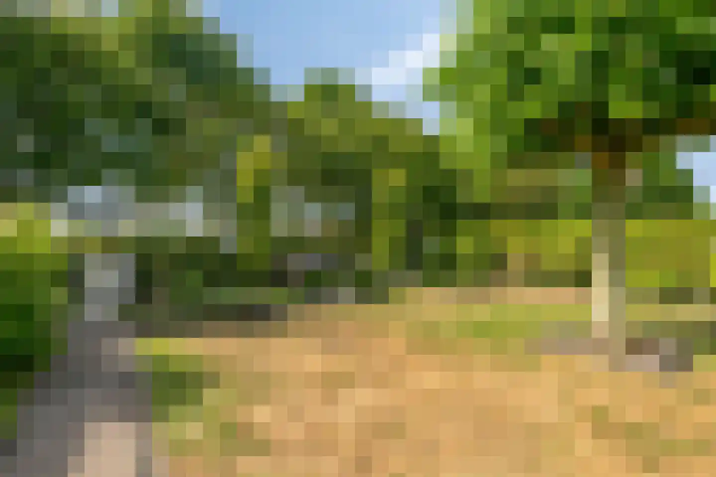 Bijenkorf 60 Eerbeek thumbnail 43