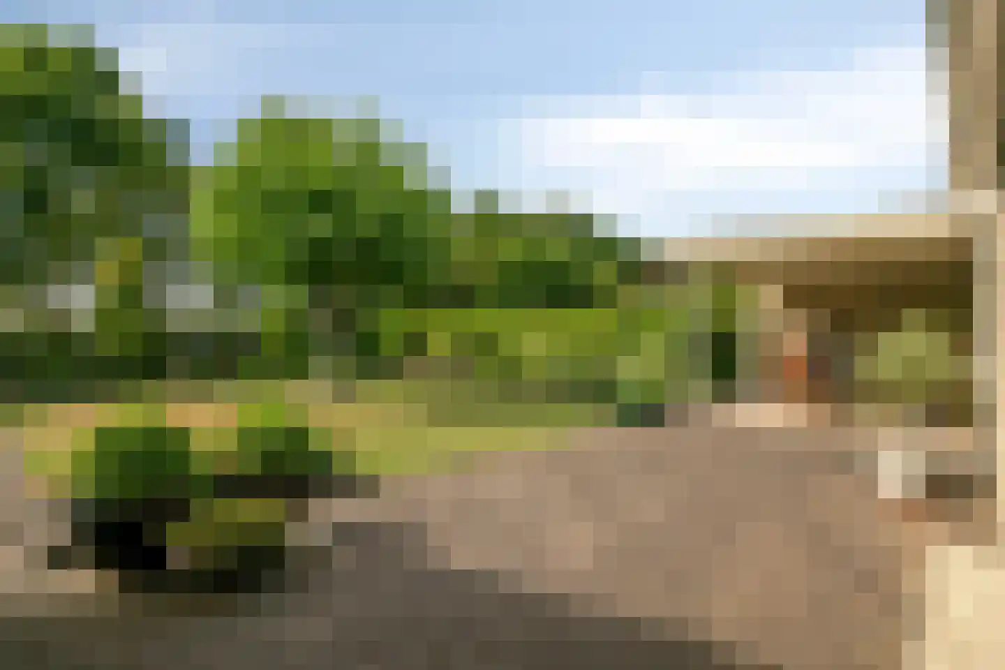 Bijenkorf 60 Eerbeek thumbnail 45