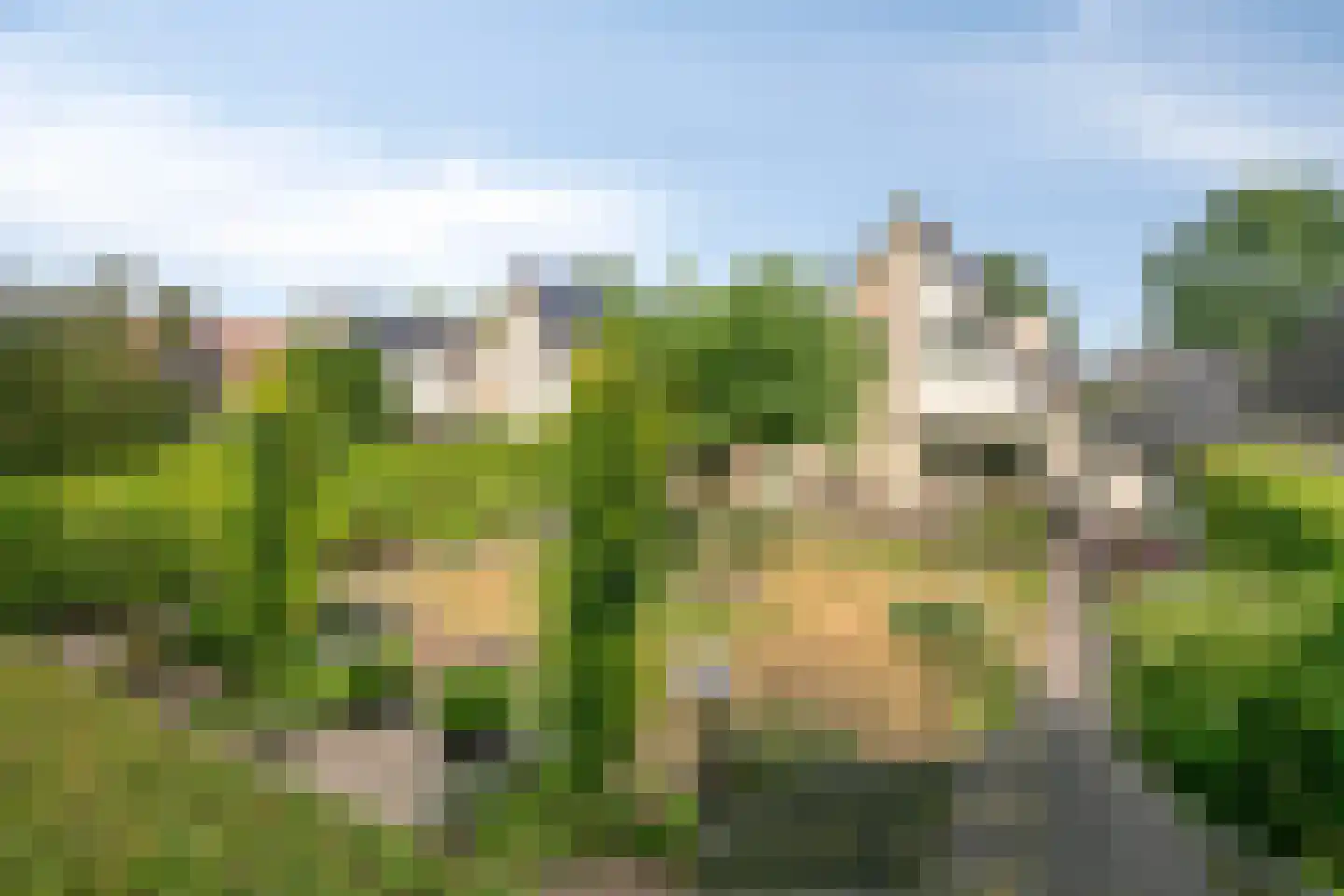 Bijenkorf 60 Eerbeek thumbnail 48