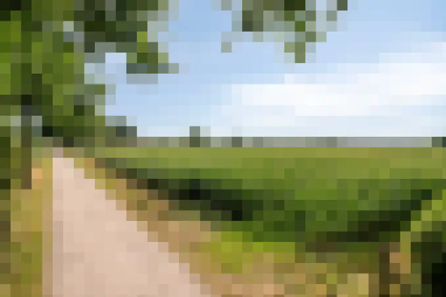 Bijenkorf 60 Eerbeek thumbnail 49