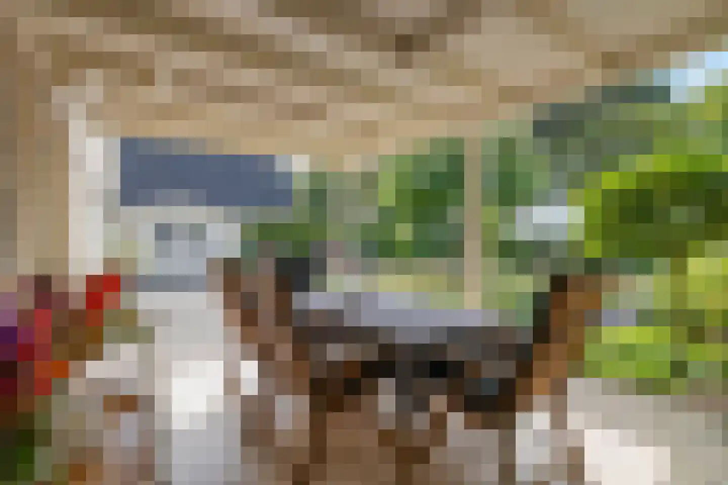 Bijenkorf 60 Eerbeek thumbnail 5