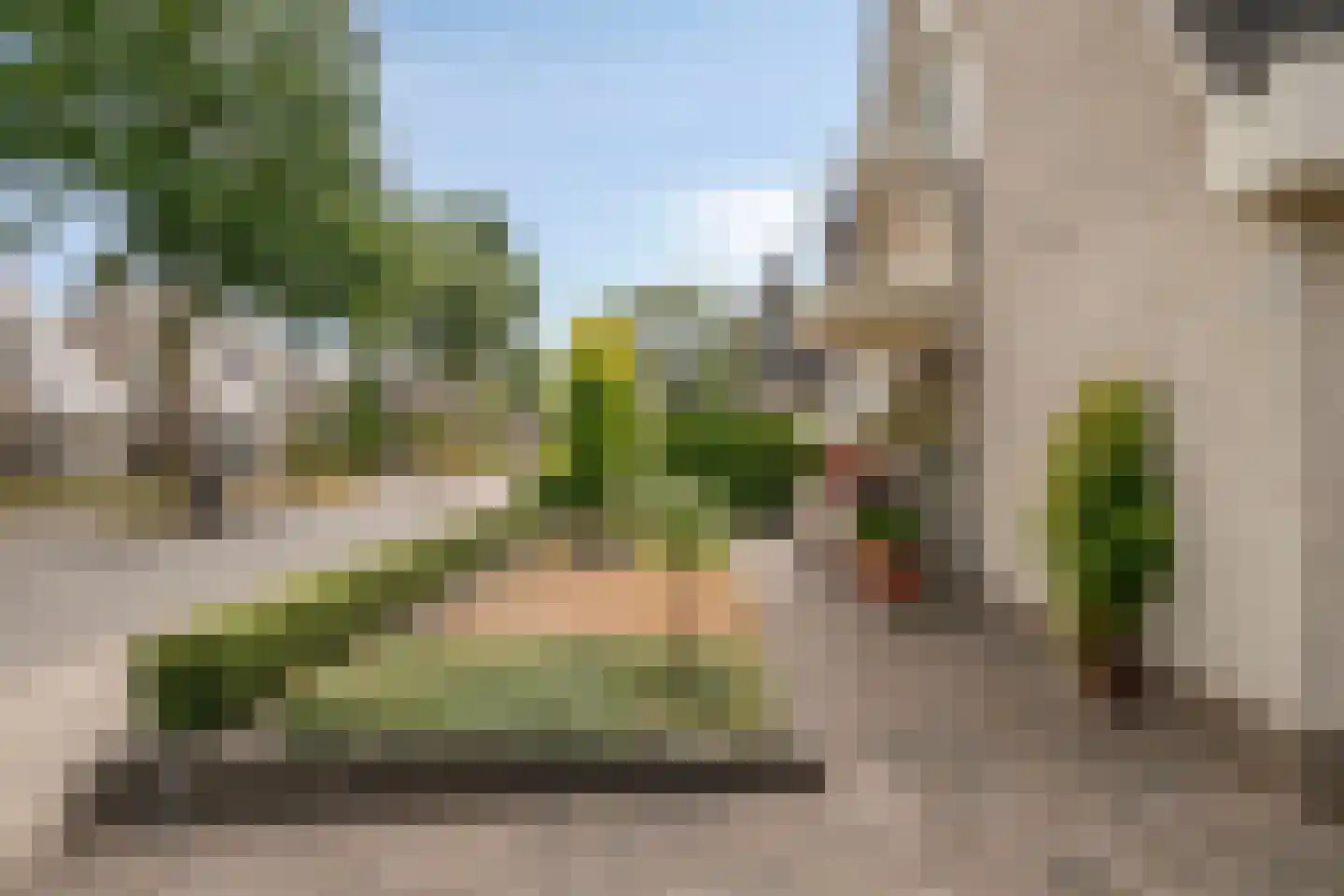 Bijenkorf 60 Eerbeek thumbnail 52