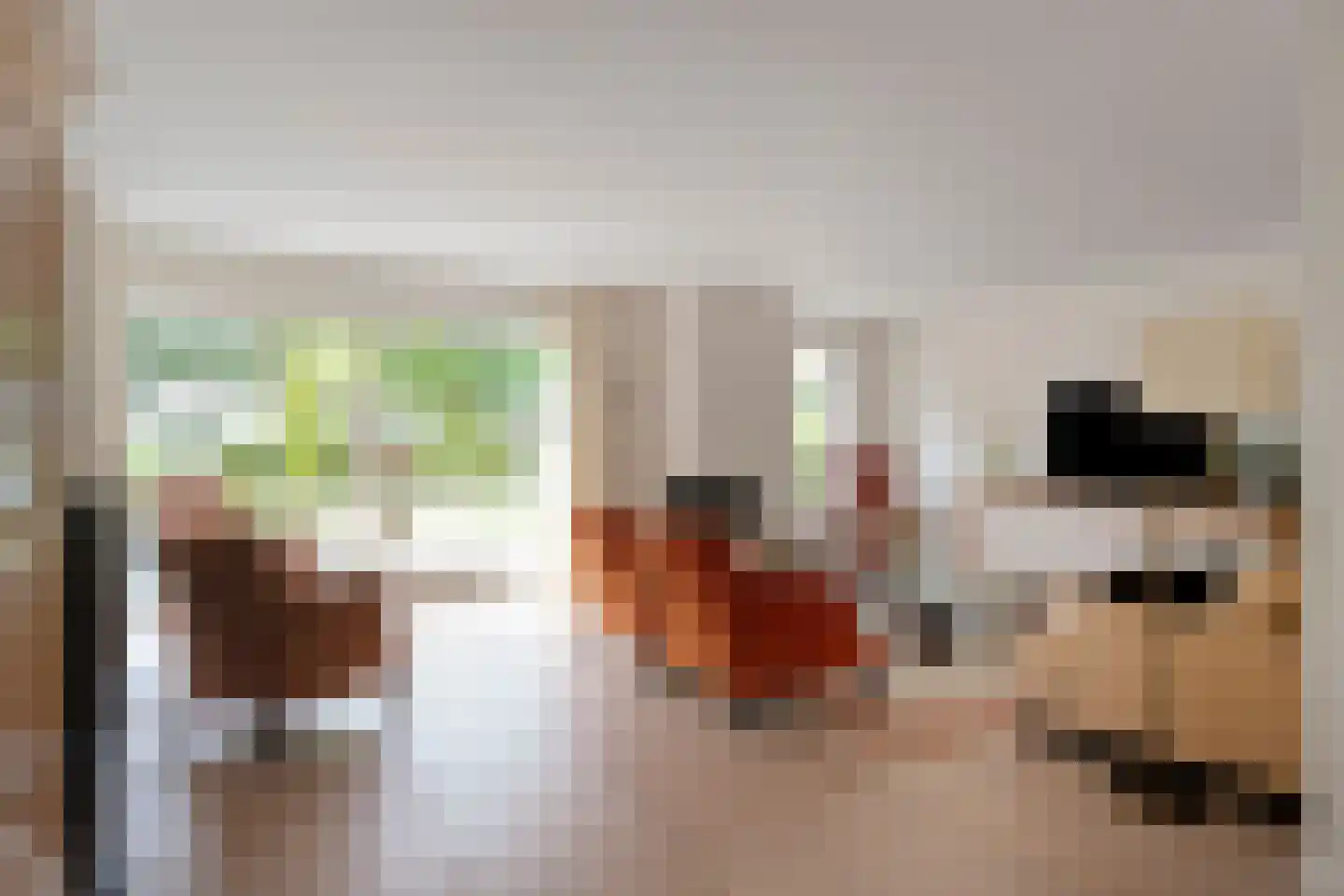 Bijenkorf 60 Eerbeek thumbnail 6
