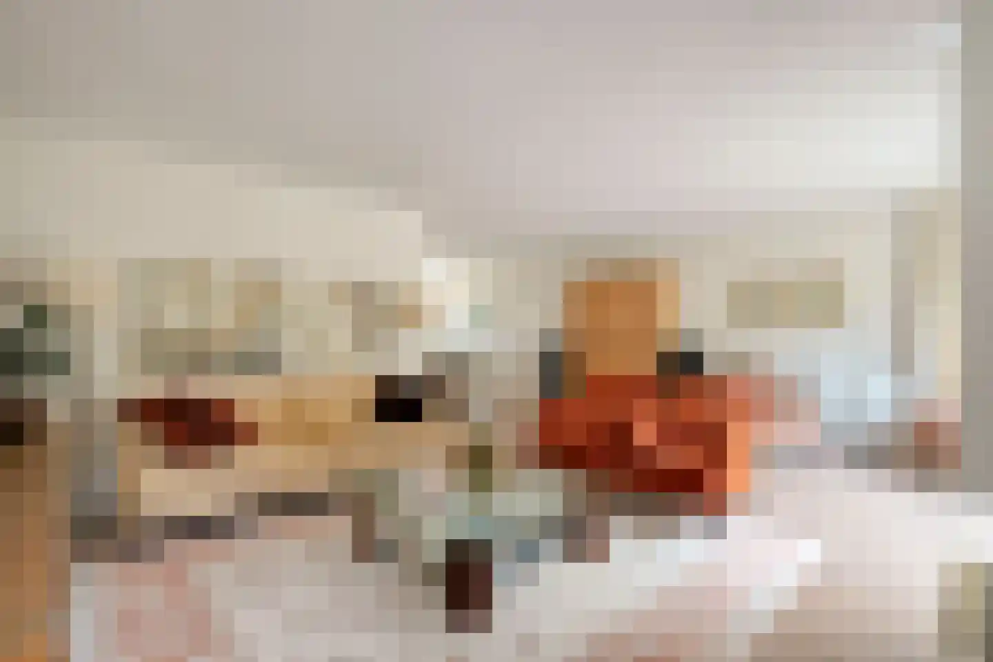 Bijenkorf 60 Eerbeek thumbnail 7