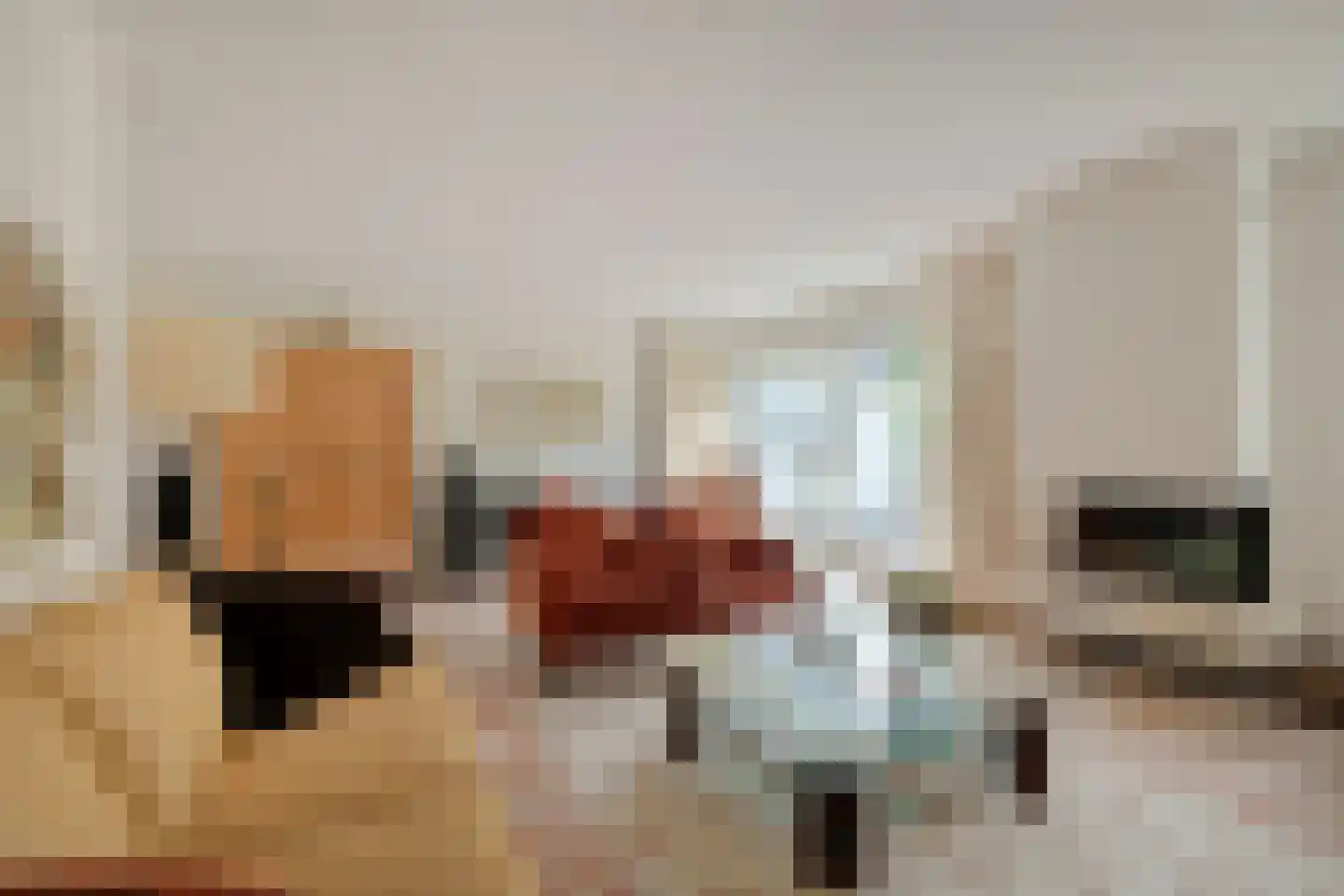 Bijenkorf 60 Eerbeek thumbnail 8
