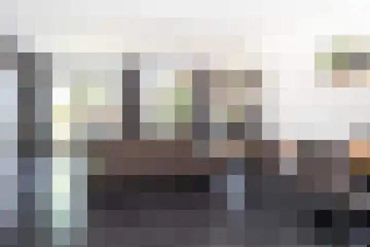 Bijenkorf 69 Eerbeek thumbnail 10