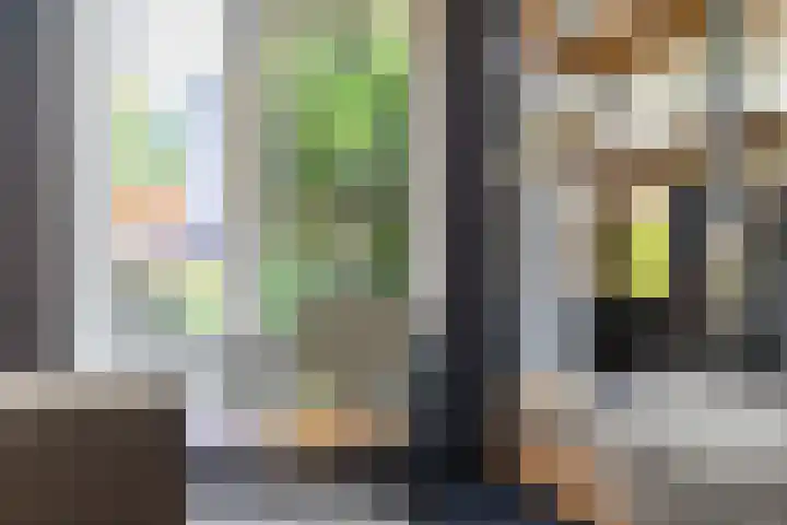 Bijenkorf 69 Eerbeek thumbnail 11