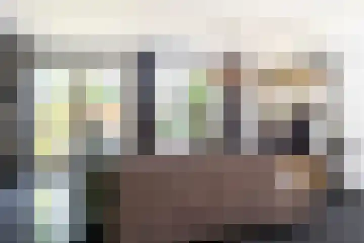 Bijenkorf 69 Eerbeek thumbnail 12