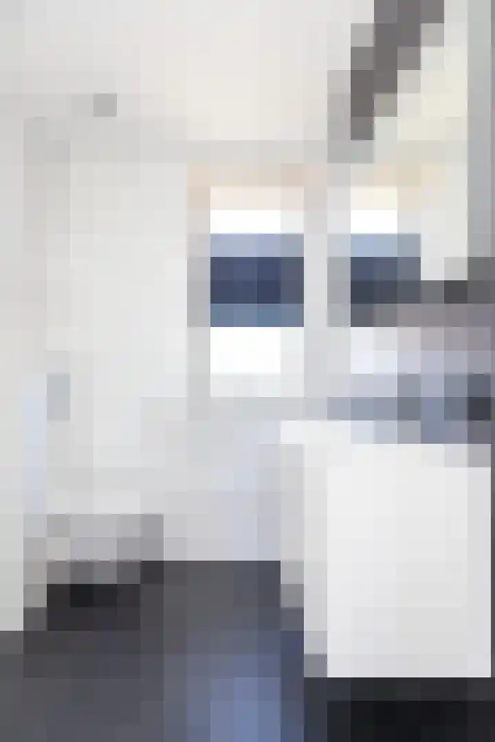 Bijenkorf 69 Eerbeek thumbnail 18