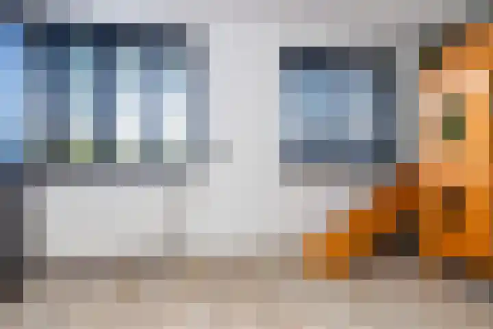 Bijenkorf 69 Eerbeek thumbnail 21