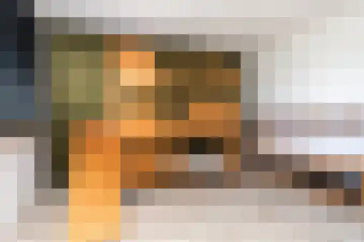 Bijenkorf 69 Eerbeek thumbnail 22