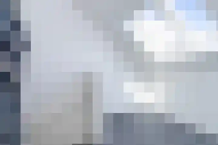 Bijenkorf 69 Eerbeek thumbnail 24