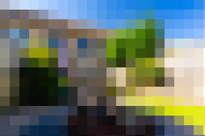 Bijenkorf 69 Eerbeek thumbnail 27
