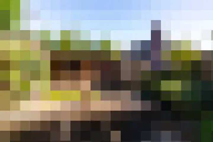 Bijenkorf 69 Eerbeek thumbnail 28