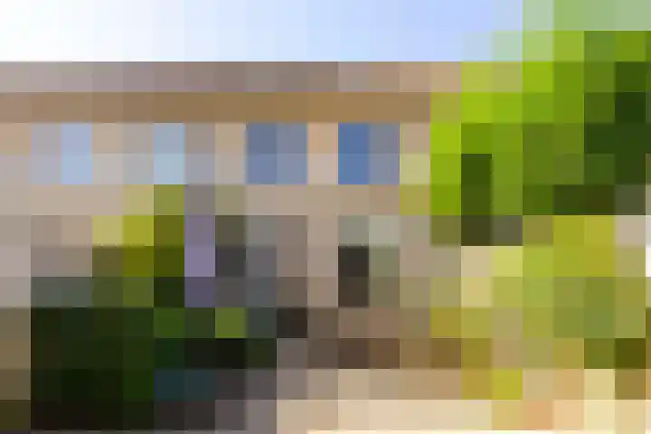 Bijenkorf 69 Eerbeek thumbnail 4