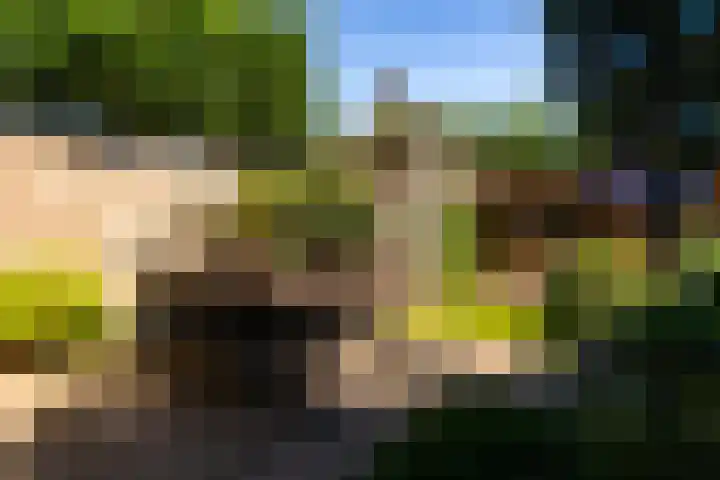 Bijenkorf 69 Eerbeek thumbnail 5