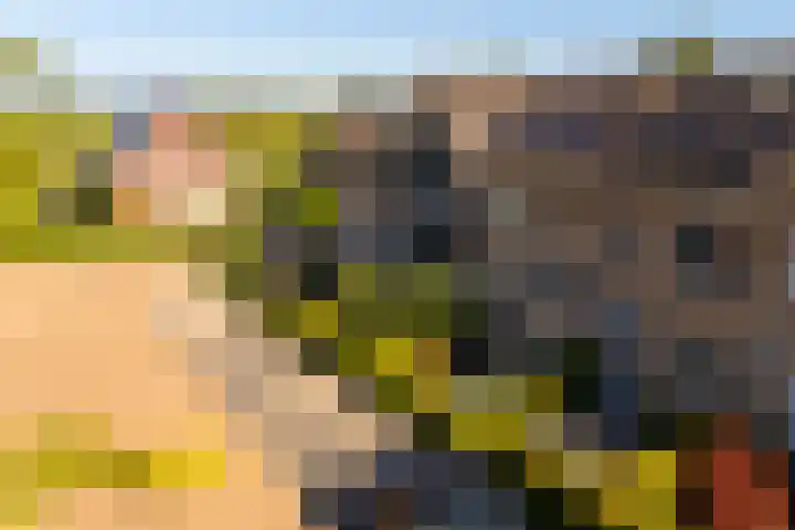 Bijenkorf 69 Eerbeek thumbnail 6