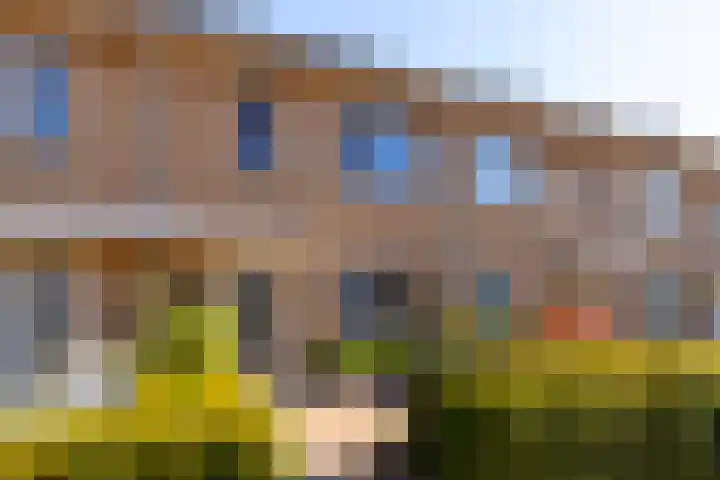 Bijenkorf 69 Eerbeek thumbnail 7