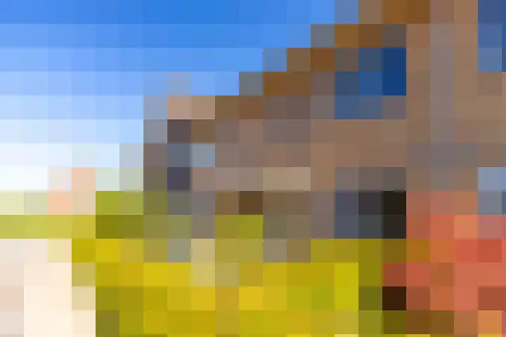 Bijenkorf 69 Eerbeek thumbnail 8