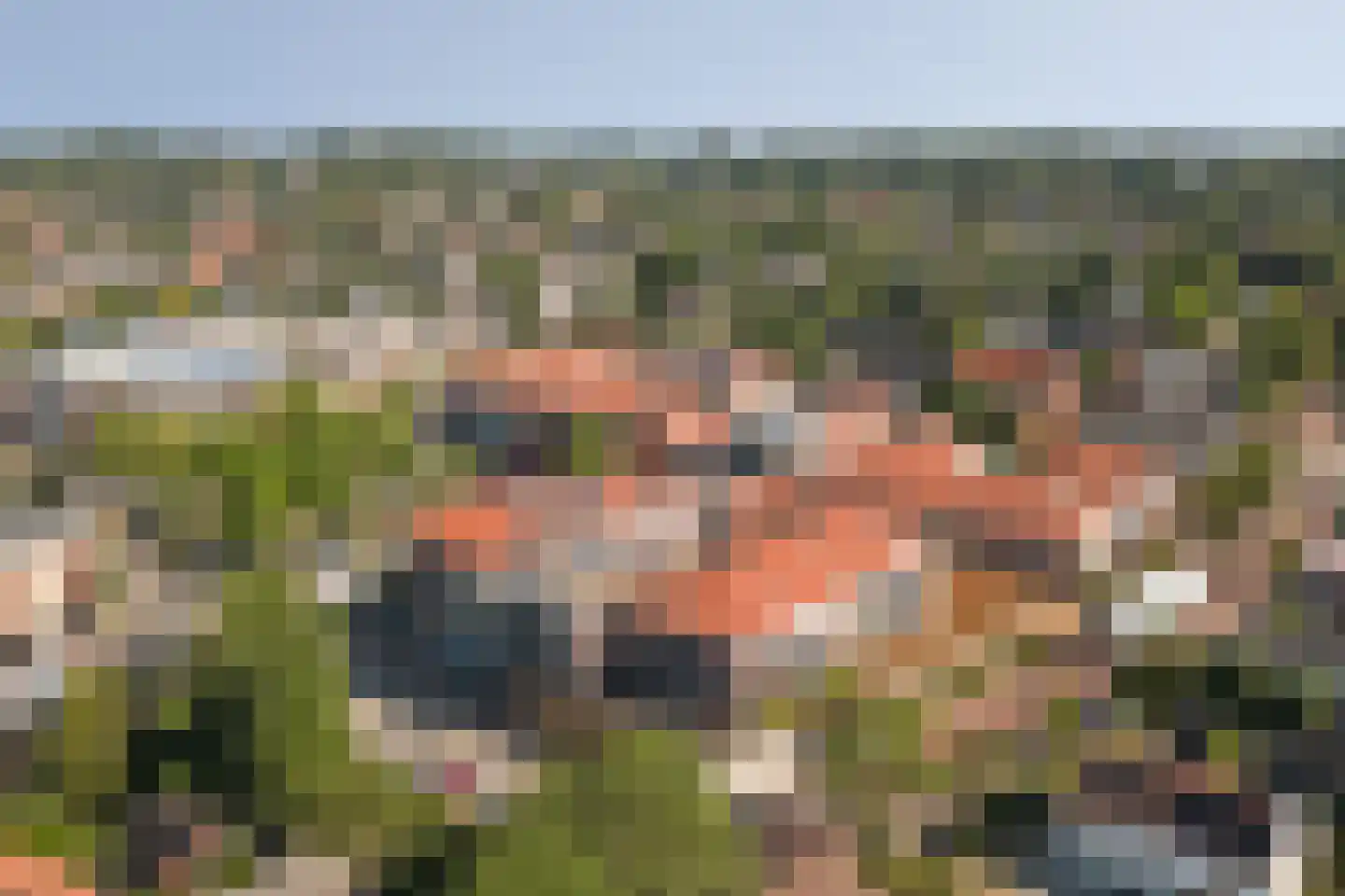 Bijenkorf 8 Leersum thumbnail 36