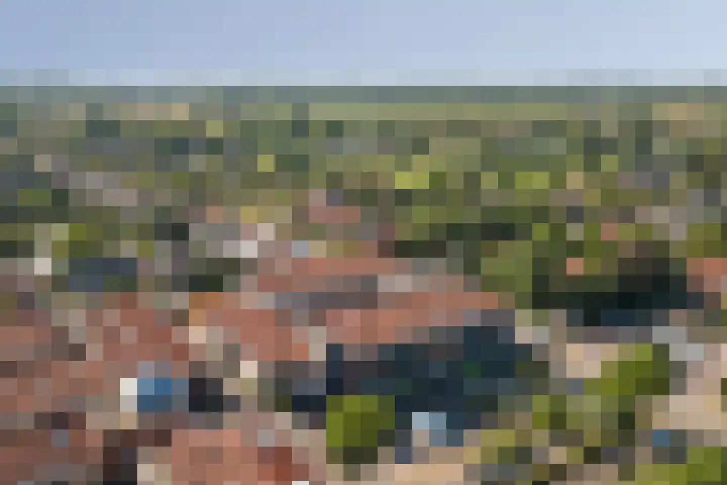 Bijenkorf 8 Leersum thumbnail 38