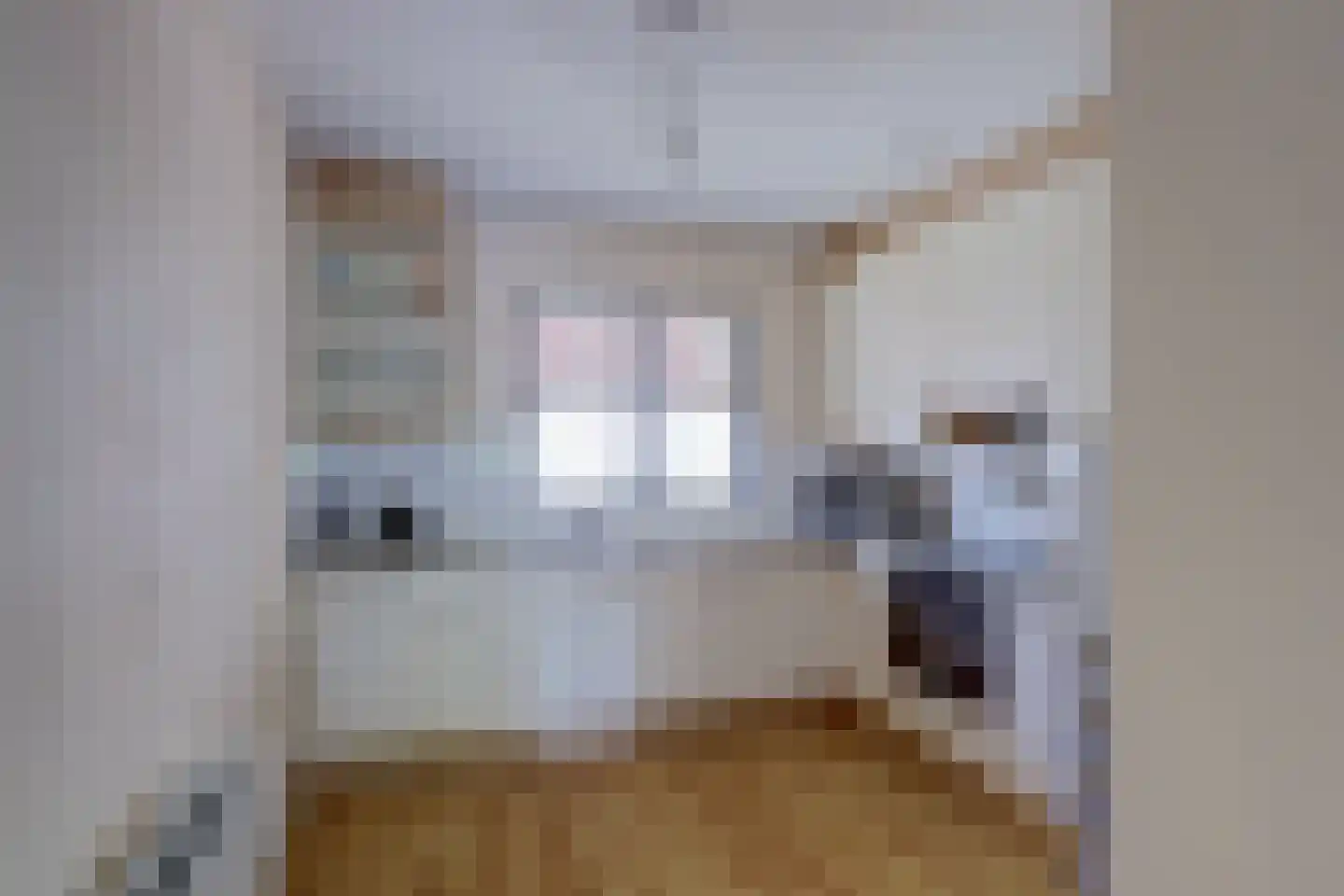 Bijenkorf 8 Leersum thumbnail 4