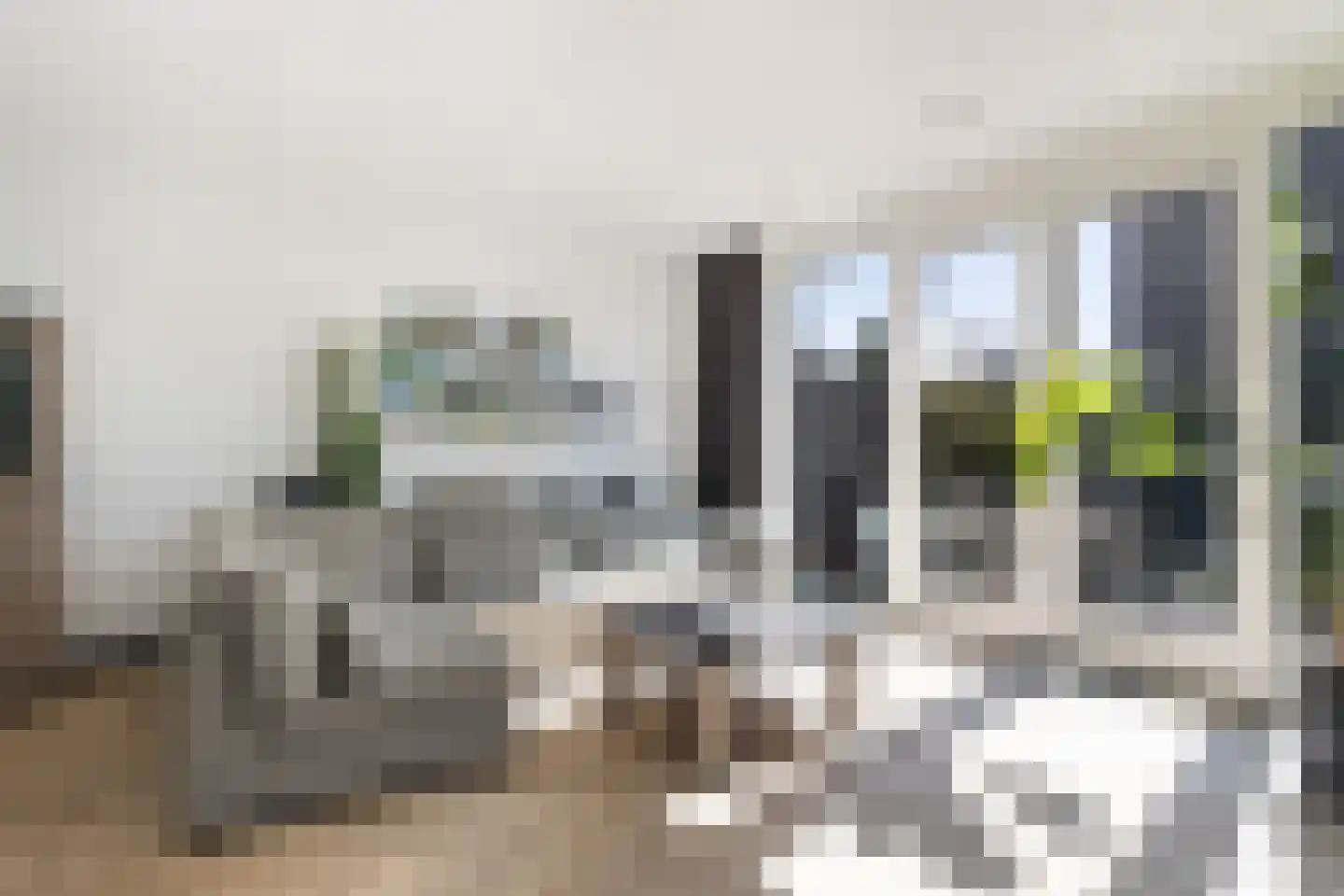Bijenkorf 8 Moordrecht thumbnail 11