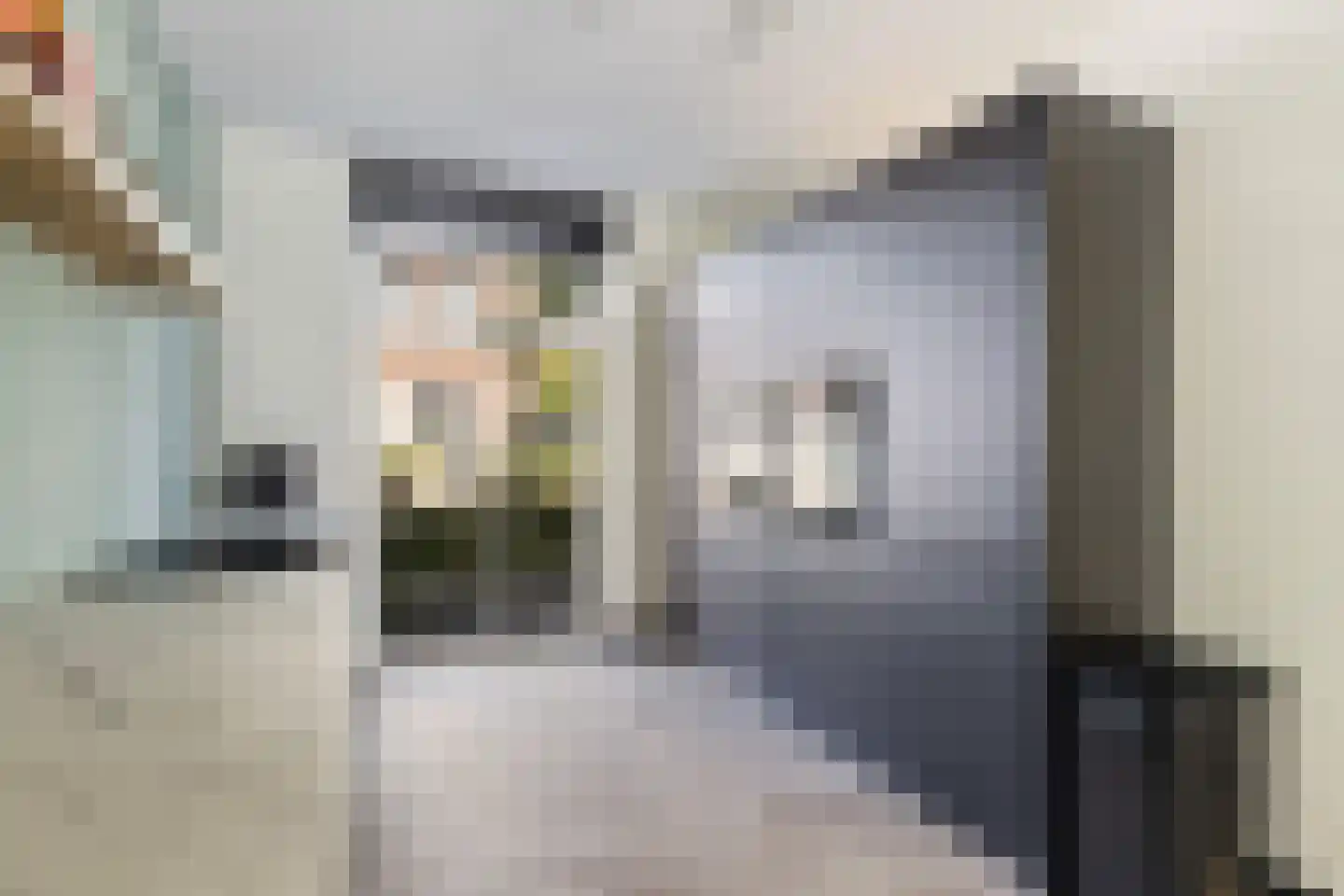 Bijenkorf 8 Moordrecht thumbnail 19