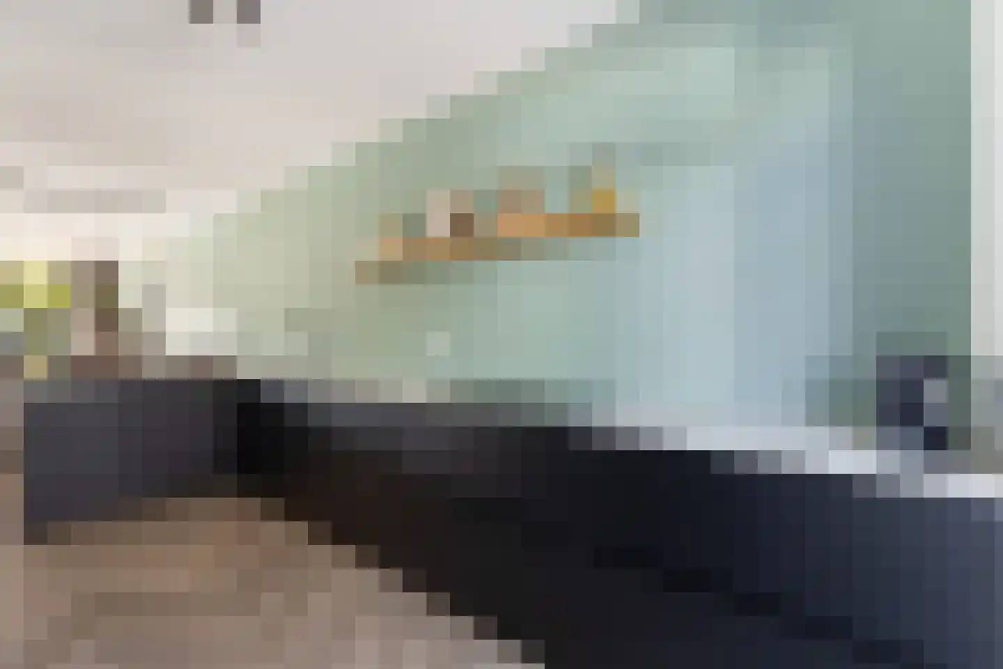 Bijenkorf 8 Moordrecht thumbnail 20