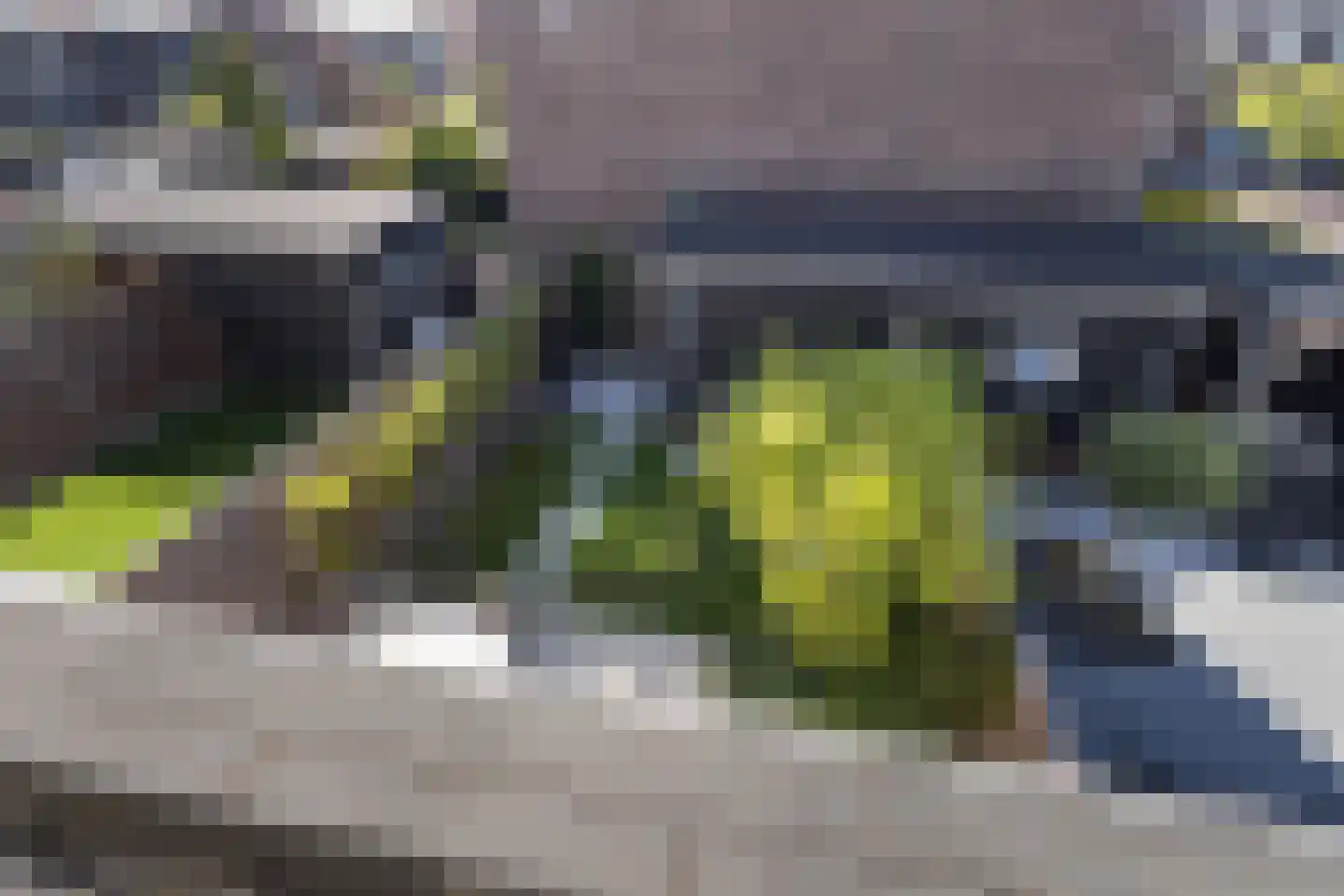 Bijenkorf 8 Moordrecht thumbnail 28