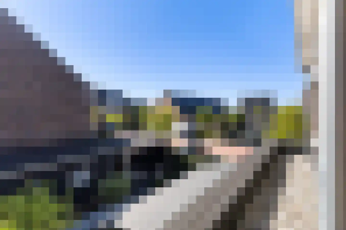 Bijenkorf 8 Moordrecht thumbnail 29