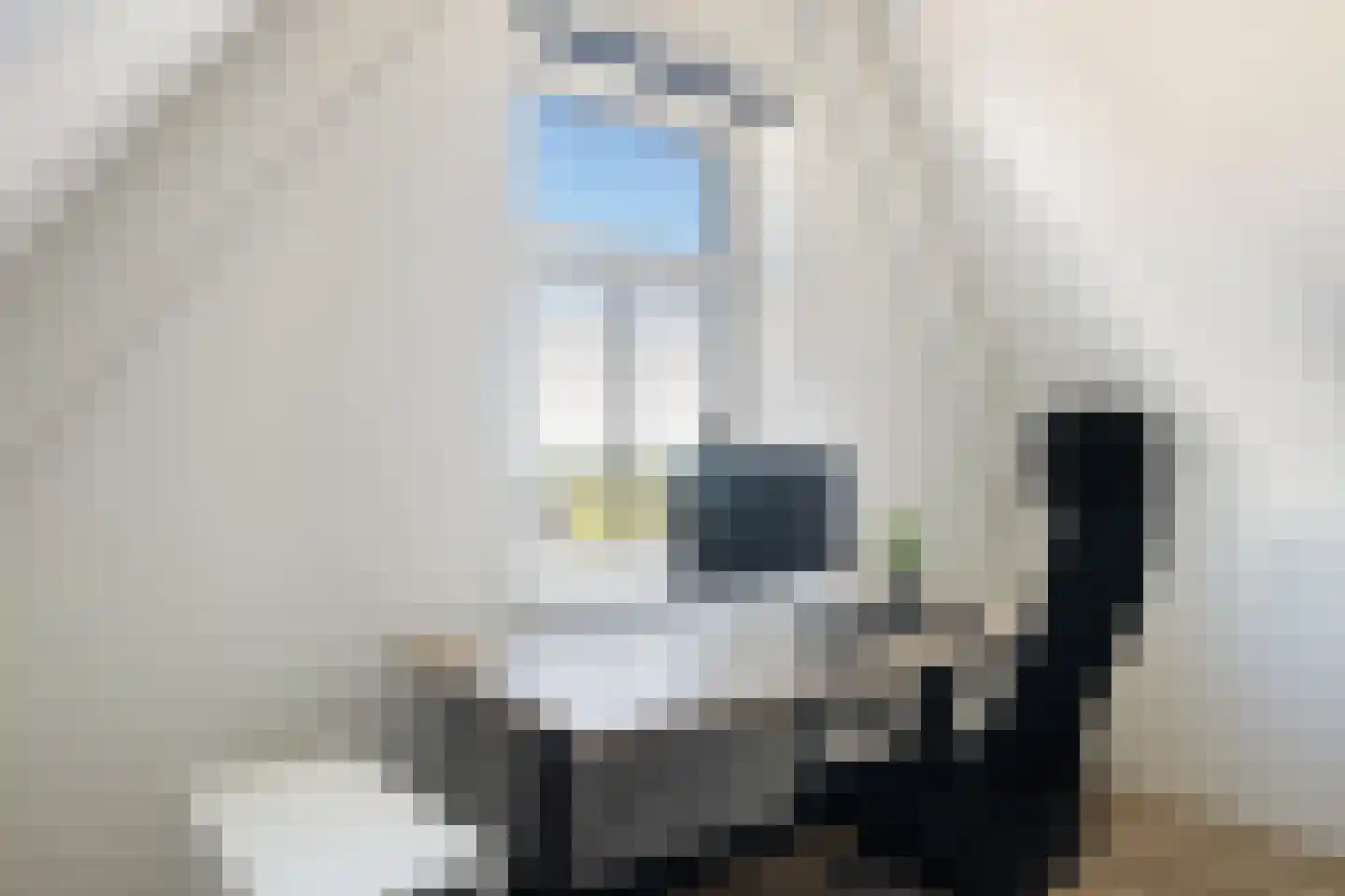 Bijenkorf 8 Moordrecht thumbnail 40