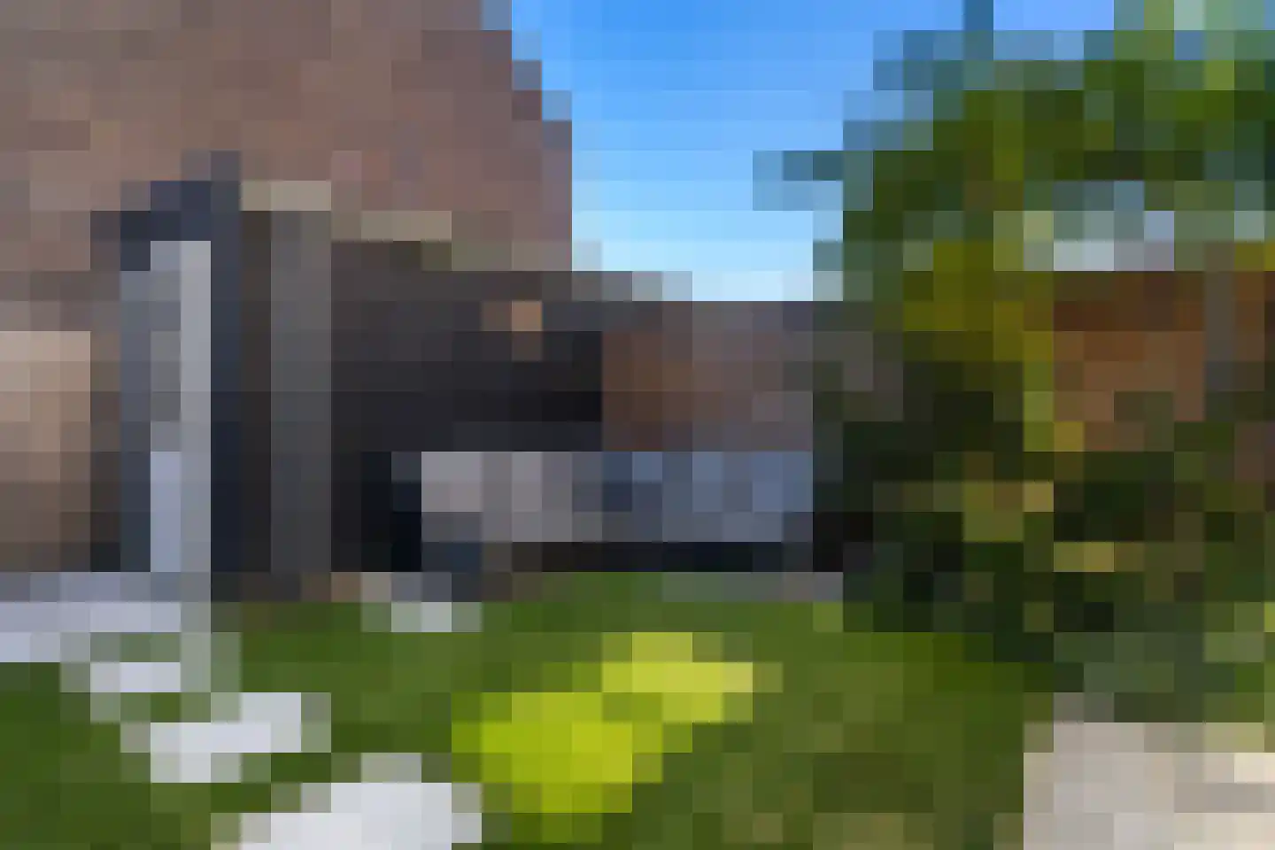 Bijenkorf 8 Moordrecht thumbnail 49