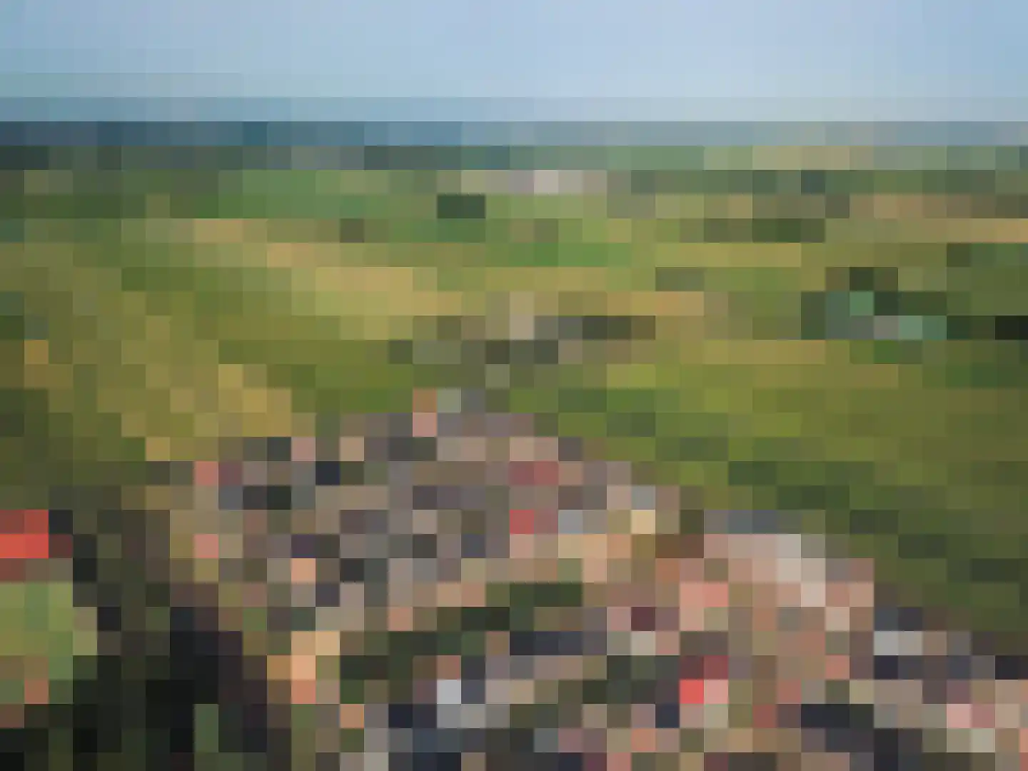 Bijenkorf 8 Moordrecht thumbnail 53
