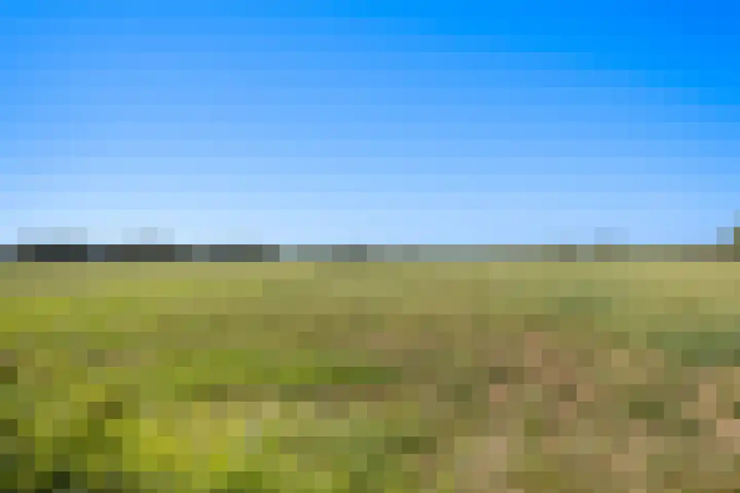 Bijenkorf 8 Moordrecht thumbnail 56