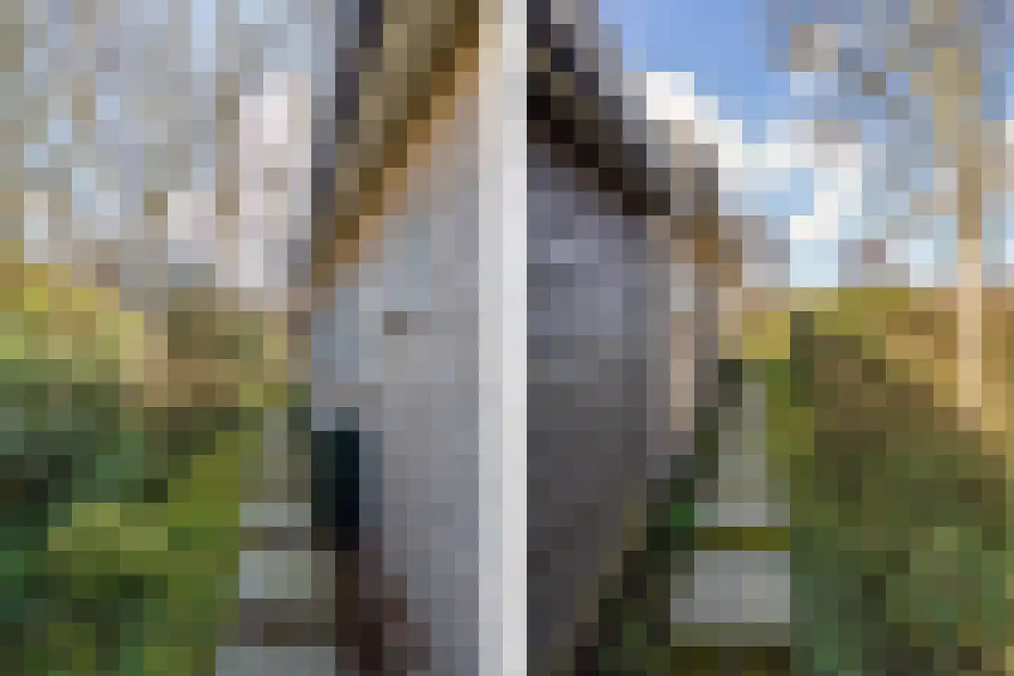 Bijenkorfweg 23 Oosterend thumbnail 29