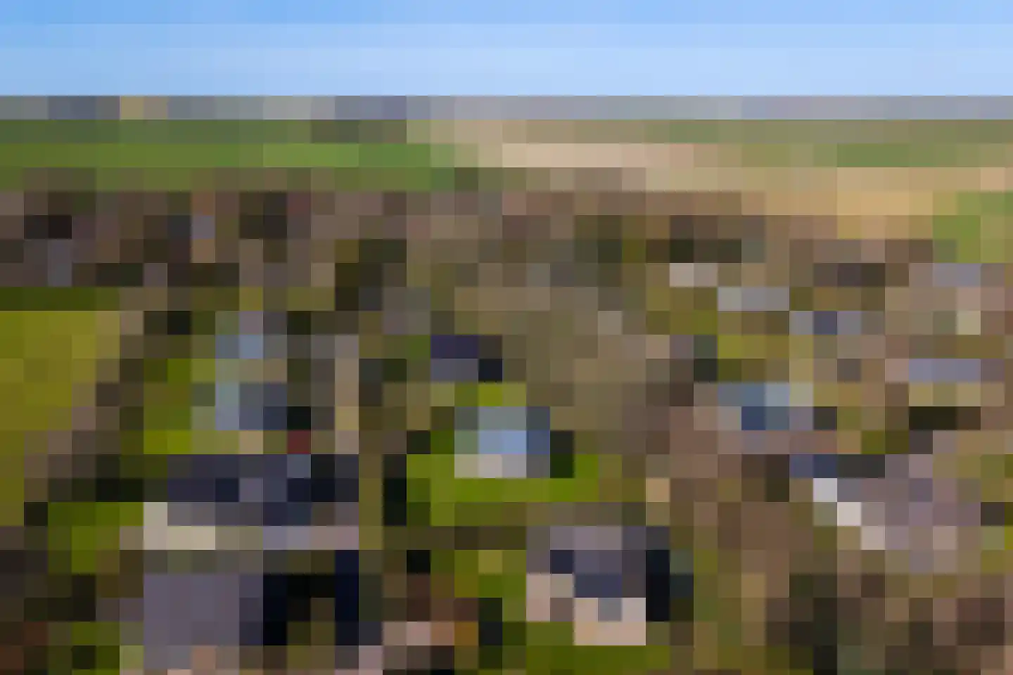 Bijenkorfweg 23 Oosterend thumbnail 6