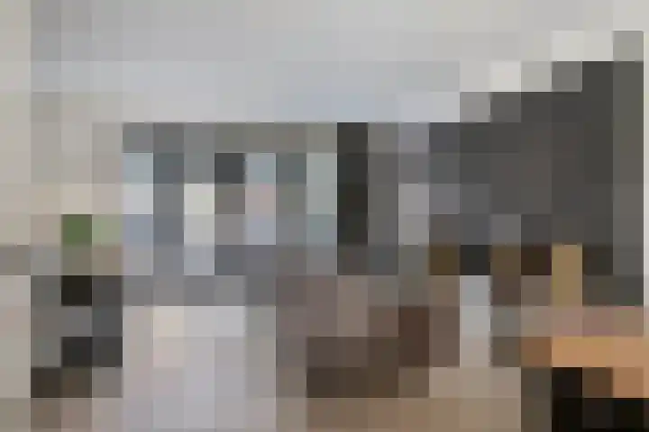 Bijenlaan 16 Son en Breugel thumbnail 12
